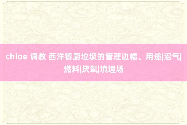 chloe 调教 西洋餐厨垃圾的管理边幅、用途|沼气|燃料|厌氧|填埋场