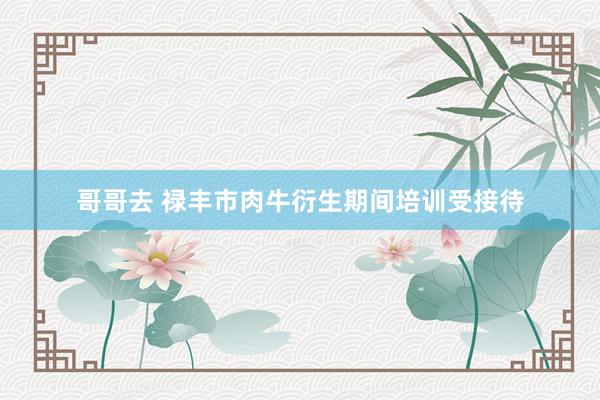 哥哥去 禄丰市肉牛衍生期间培训受接待