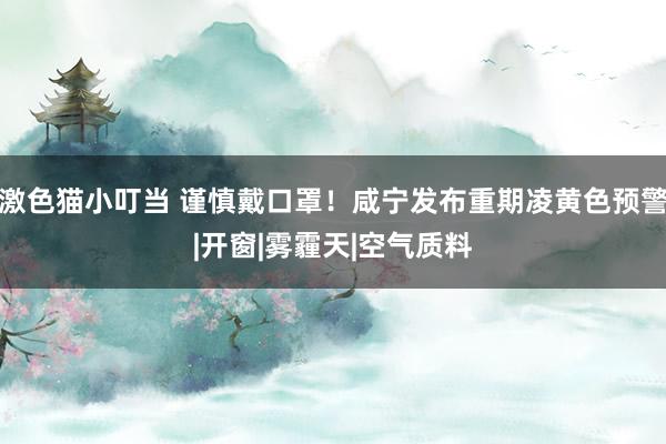 激色猫小叮当 谨慎戴口罩！咸宁发布重期凌黄色预警|开窗|雾霾天|空气质料