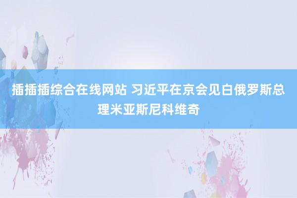插插插综合在线网站 习近平在京会见白俄罗斯总理米亚斯尼科维奇