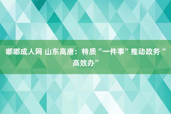 嘟嘟成人网 山东高唐：特质“一件事”推动政务“高效办”