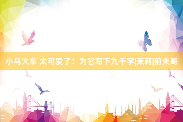 小马大车 太可爱了！为它写下九千字|茉莉|前夫哥