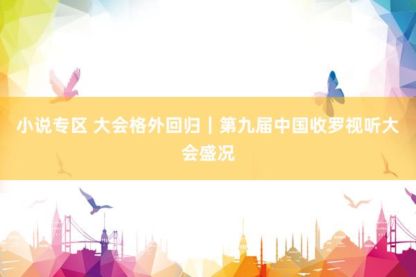 小说专区 大会格外回归｜第九届中国收罗视听大会盛况