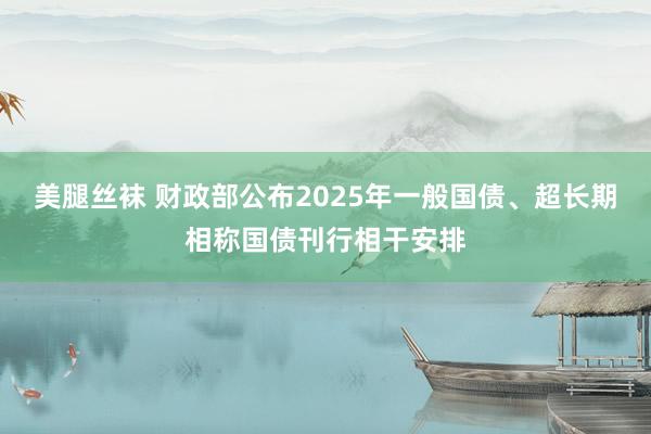 美腿丝袜 财政部公布2025年一般国债、超长期相称国债刊行相干安排