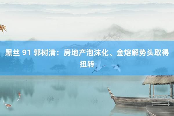 黑丝 91 郭树清：房地产泡沫化、金熔解势头取得扭转