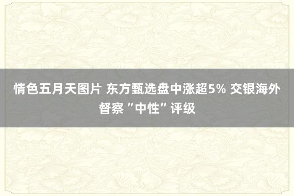 情色五月天图片 东方甄选盘中涨超5% 交银海外督察“中性”评级