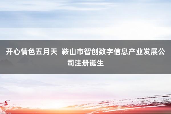 开心情色五月天  鞍山市智创数字信息产业发展公司注册诞生