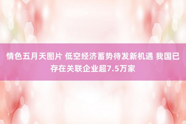 情色五月天图片 低空经济蓄势待发新机遇 我国已存在关联企业超7.5万家